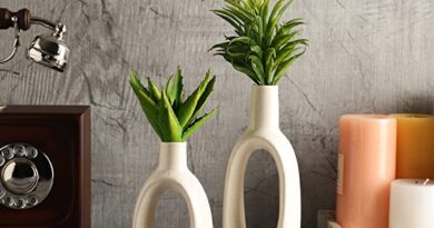 Enhancing Your Living Room with Ceramic Pots: Beauty and Functionality Combined